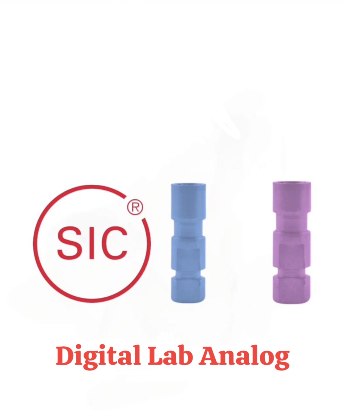 لب آنالوگ SIC